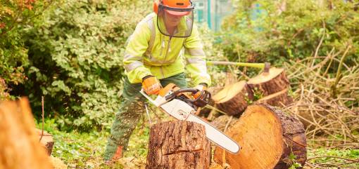 Arborist With Chainsaw 